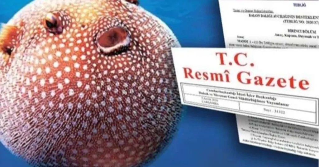 balon-baligi-avciligi-destegi-artirildi-QcGhMwJA.webp