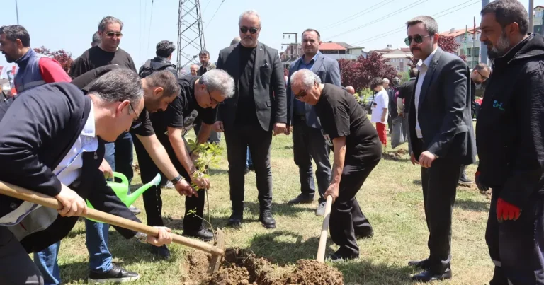 izmitte-prof-dr-umit-ozdag-hatira-ormani-AHB9qJ5A.webp