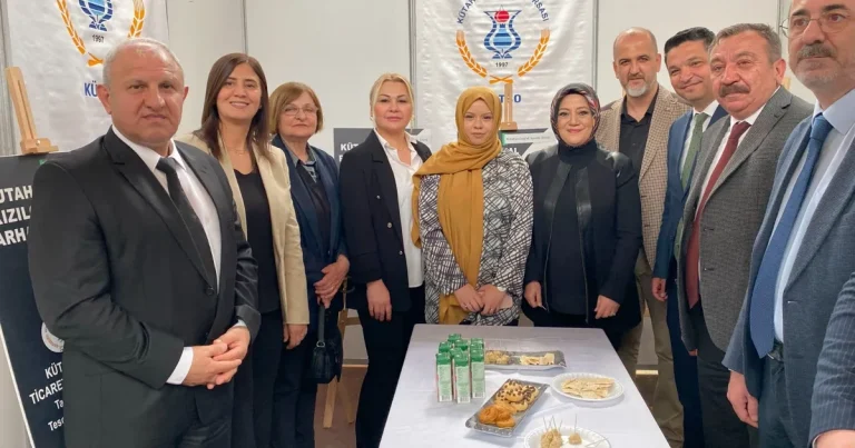 kutaf-kapilarini-acti-u67cv1NJ.webp