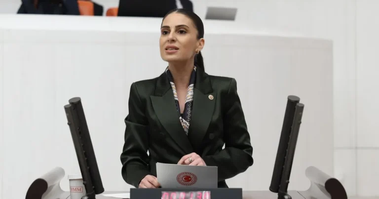 milletvekili-ozcandan-sokak-hayvanlari-icin-bakan-yumakliya-onerge-bf3O8zV7.webp
