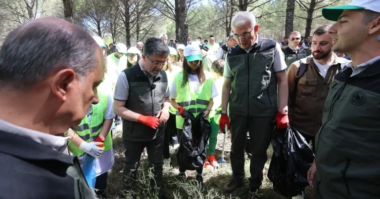 orman-yanginlarina-karsi-es-zamanli-temizlik-zRy9mUMF.webp