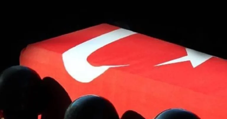 pence-kilite-yildirim-dustu-1-askerimiz-sehit-ladWVIC3.webp