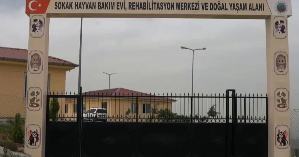 siirtte-sokak-hayvanlari-icin-dev-proje-LztHcHci.webp