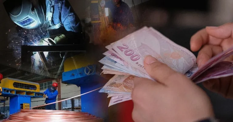 ucretli-calisan-sayisi-yillik-artti-aylik-azaldi-K6Y7OeXY.webp